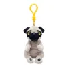 Owl & Goose Gifts Ty Beanie Bellies 4 Inch Izzy the Pug Plush Clip -| Plush Toys|Plush Clips
